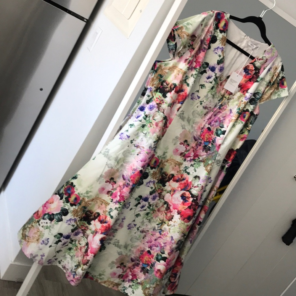 ASOS Curve Truly You floral dress